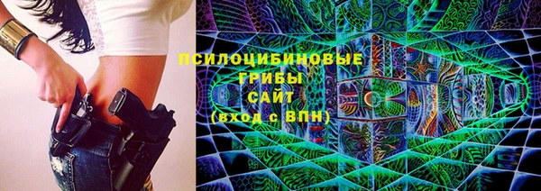 стаф Арсеньев