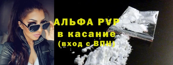 стаф Арсеньев