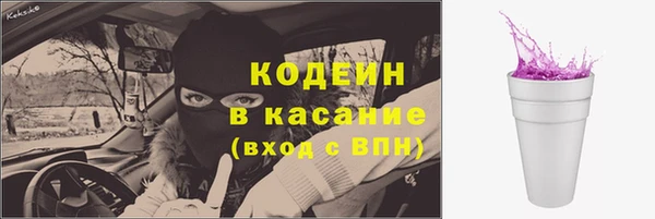 стаф Арсеньев
