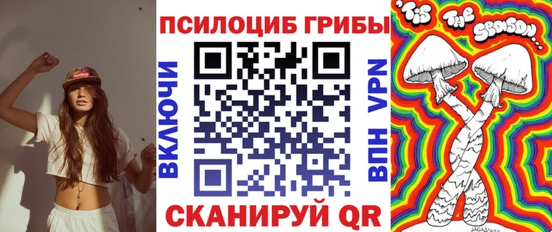 Псилоцибиновые грибы Psilocybe  как найти   Прохладный 